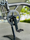 Praxis Zayante Carbon Crank Arm