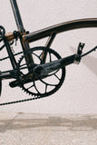 Praxis Zayante Carbon Crank Arm