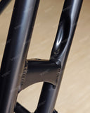 H&H Titanium Fork & Rear Triangle (P/T line)
